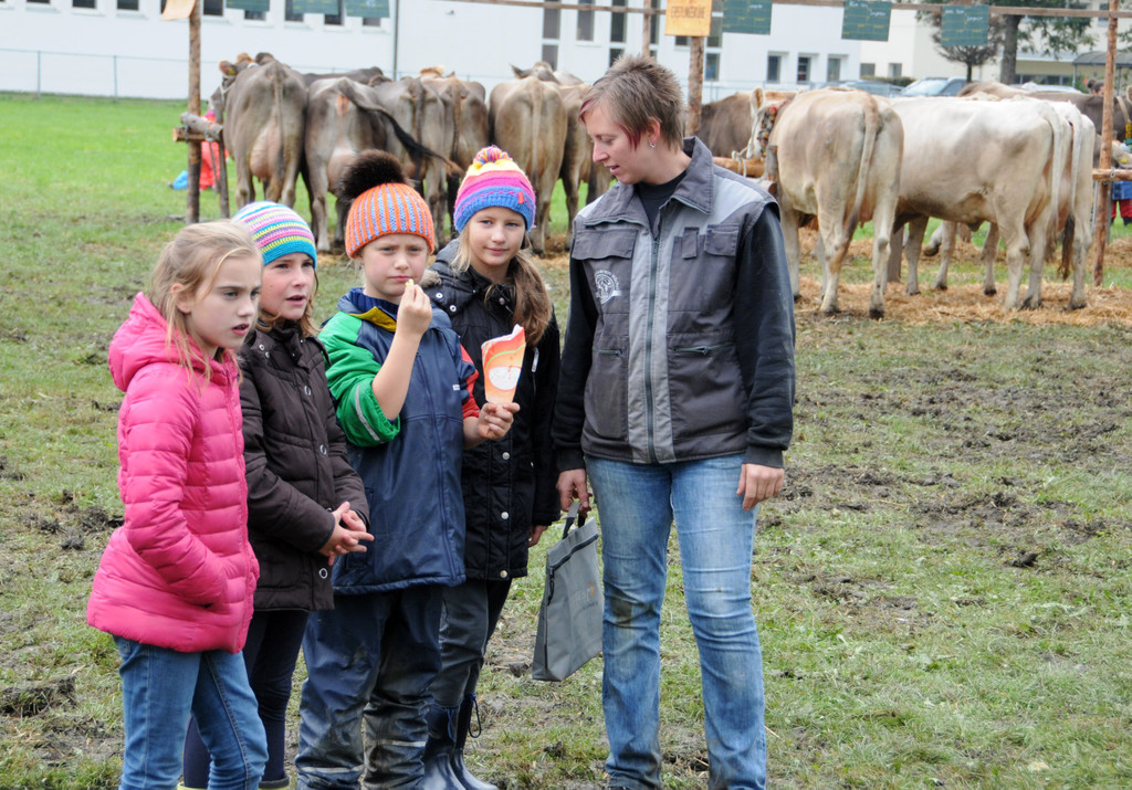 Viehfest Ho__chst 16-10-2015 131.jpg