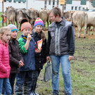 Viehfest Ho__chst 16-10-2015 131.jpg