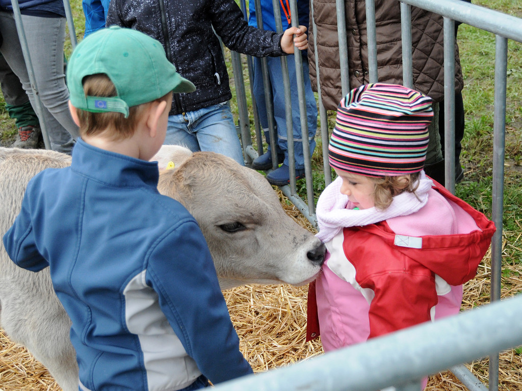Viehfest Ho__chst 16-10-2015 147.jpg