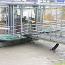 normal_03062010hochwassertaaktivnews_12.jpg