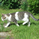 CIMG8814.JPG