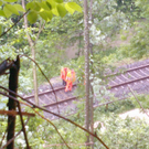 normal_030610hochwassertshm2aktivnews_15.jpg