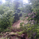 normal_030610hochwassertshm2aktivnews_22.jpg