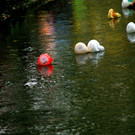 DSC00301.JPG