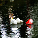 DSC00303.JPG