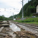 normal_03062010murretaxenbachaktivnews_20_23_.jpg