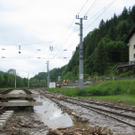 normal_03062010murretaxenbachaktivnews_20_24_.jpg