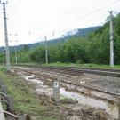 normal_03062010murretaxenbachaktivnews_20_9_.jpg