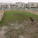 20151014_CL0310.jpg