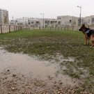 20151014_CL0452.jpg