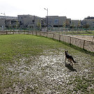 20151017_CL0584.jpg