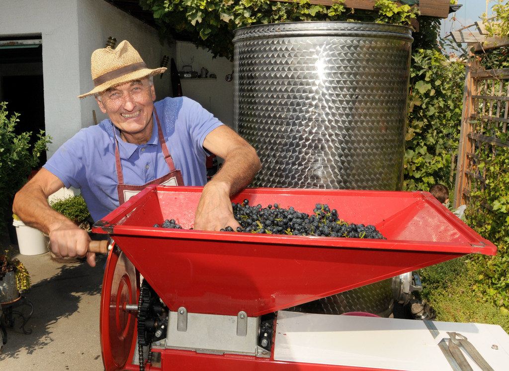 Weinlese Fo__rstergasse 26-09-2015 9.jpg