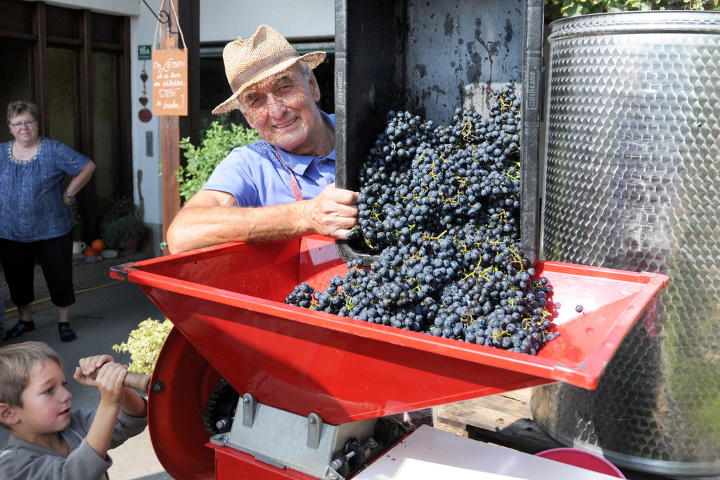 Weinlese Fo__rstergasse 26-09-2015 12.jpg