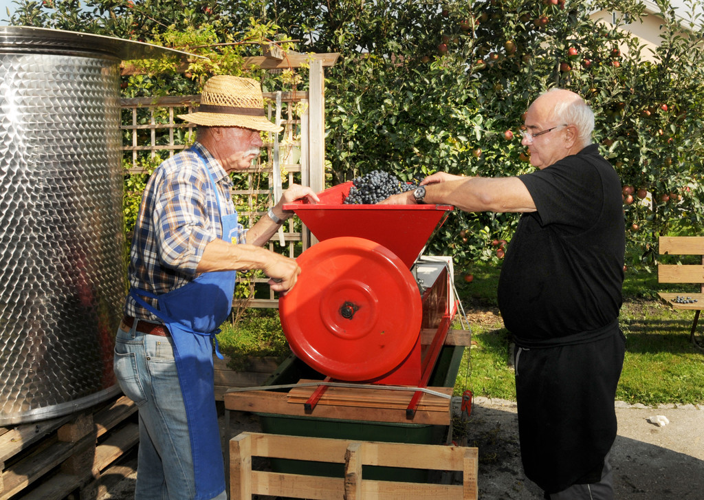 Weinlese Fo__rstergasse 26-09-2015 36.jpg