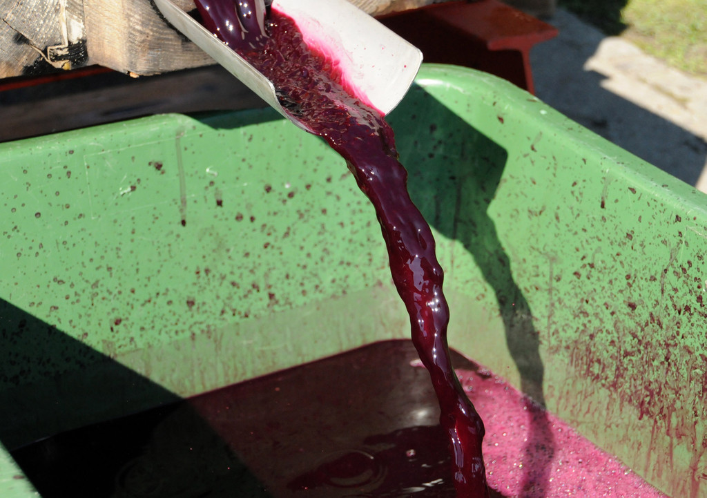 Weinpresse rubinrot 42.jpg