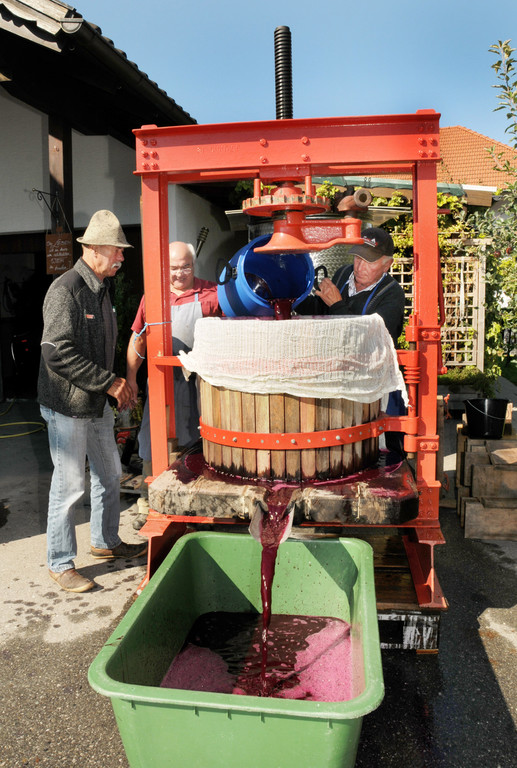 Weinpresse Torggel 14.jpg