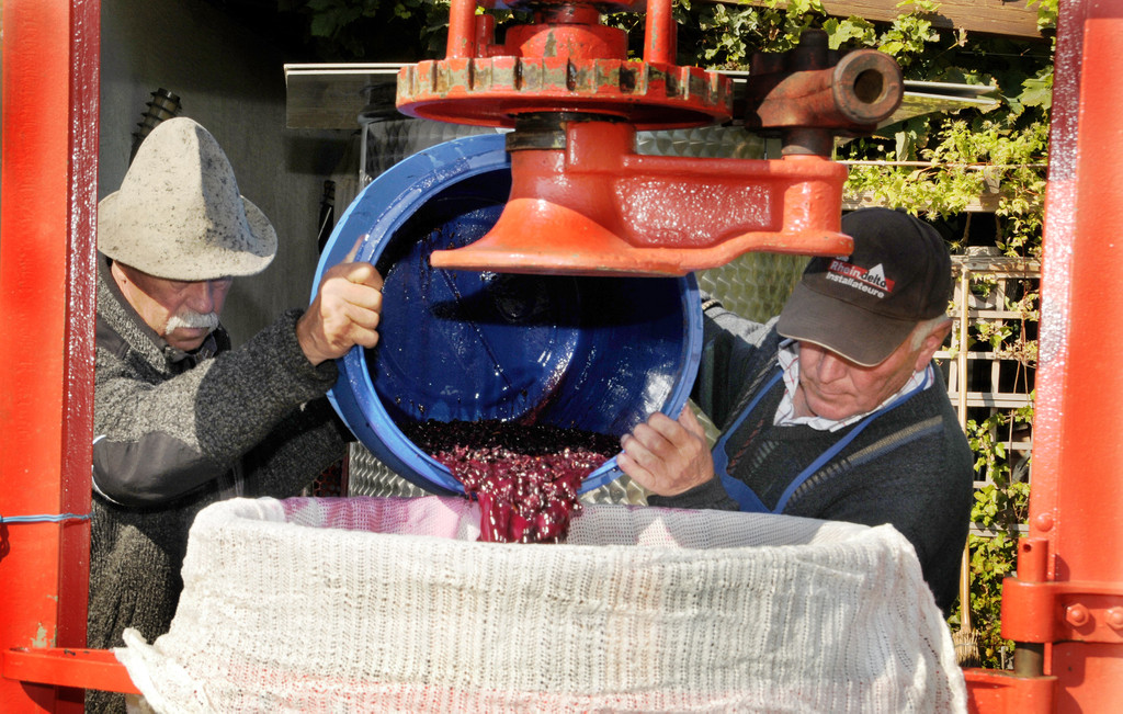 Weinpresse 01-10-2015 6.jpg
