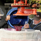 Weinpresse 01-10-2015 6.jpg