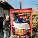 Weinpresse 01-10-2015 14.jpg