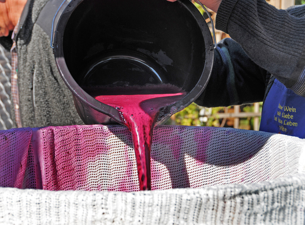 Weinpresse 01-10-2015 26.jpg