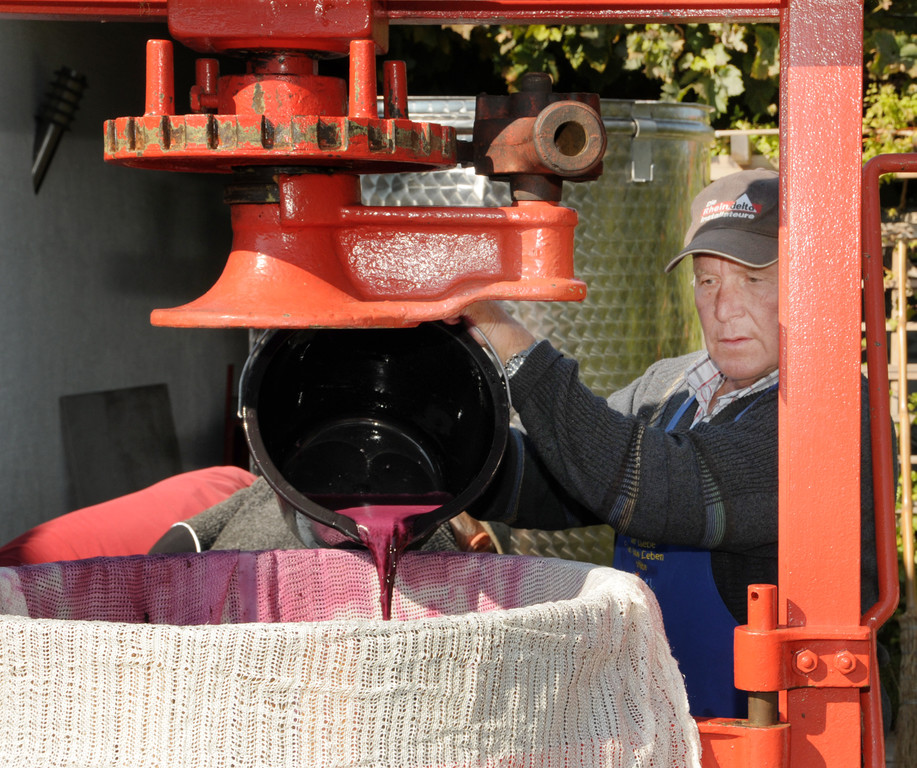 Weinpresse 01-10-2015 28.jpg