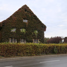 IMG_5434.JPG