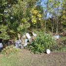 IMG_0138.JPG
