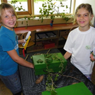101_9310_jpg-1275600232