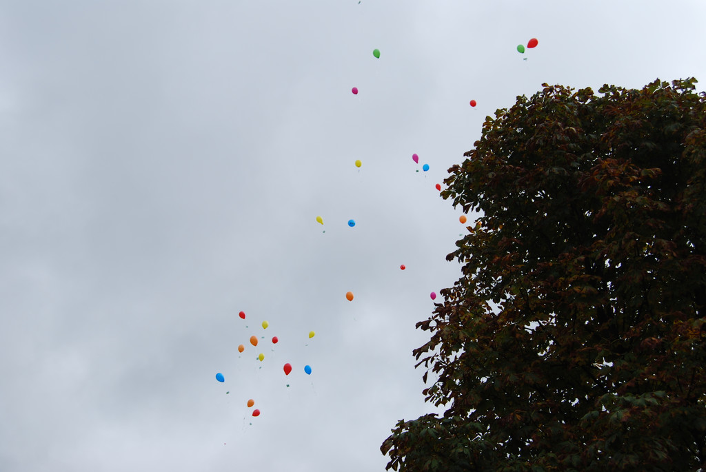DSC_0109.JPG