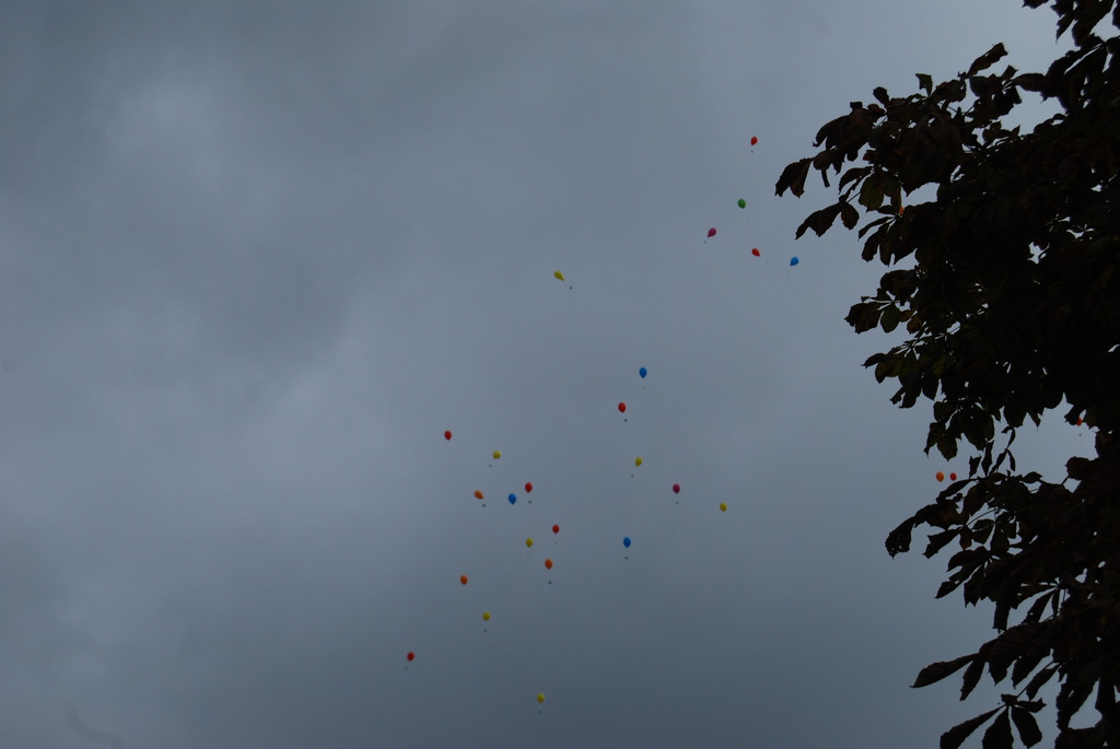 DSC_0111.JPG