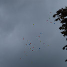 DSC_0111.JPG
