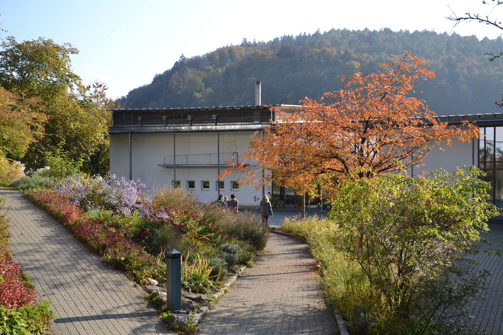 DSC_0462.JPG