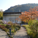 DSC_0462.JPG