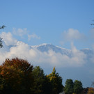 DSC_0144.JPG