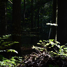 DSC_0156.JPG