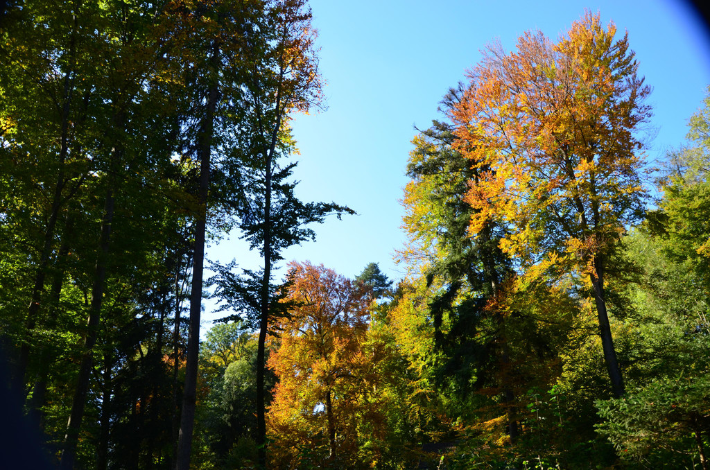 DSC_0159.JPG