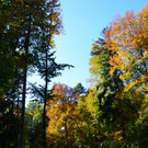 DSC_0159.JPG