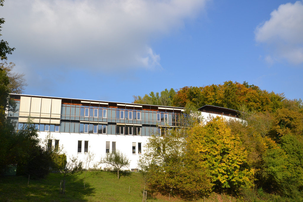 DSC_0470.JPG