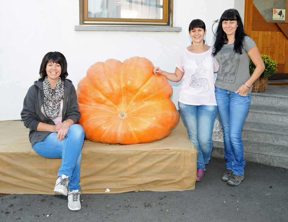 Ku__rbisernte Reiner 26-09-2015 80.jpg