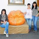 Ku__rbisernte Reiner 26-09-2015 80.jpg