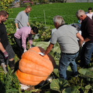 Ku__rbisernte Reiner 26-09-2015 42.jpg