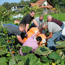 Ku__rbisernte Reiner 26-09-2015 48.jpg
