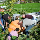 Ku__rbisernte Reiner 26-09-2015 50.jpg