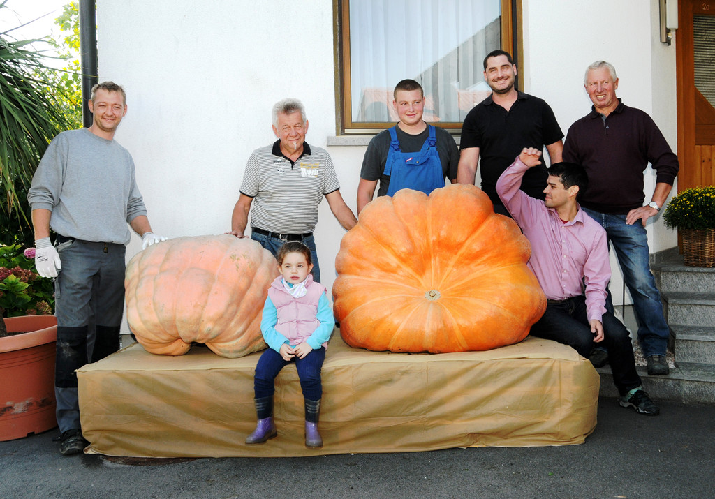 Ku__rbisernte Reiner 26-09-2015 94.jpg