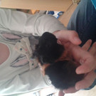 Babys