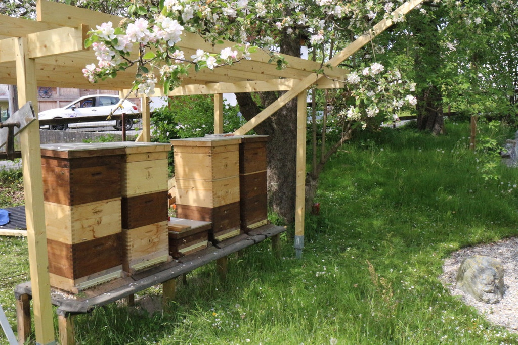 KOE_Bienenzuchtverein Goefis 17.jpg