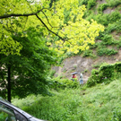 normal_03062010vumuellnwm2aktivnews_08.jpg