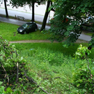 normal_03062010vumuellnwm2aktivnews_15.jpg