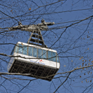 _DSC0100_JPG-1275638309