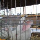 thumb_IMG_4810_1024.jpg
